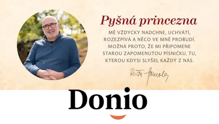 Kniha: Pyšná princezna (Rostislav Homola)