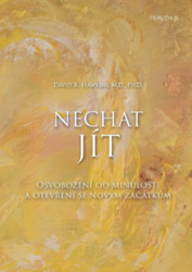 Nechat jít (kniha)
